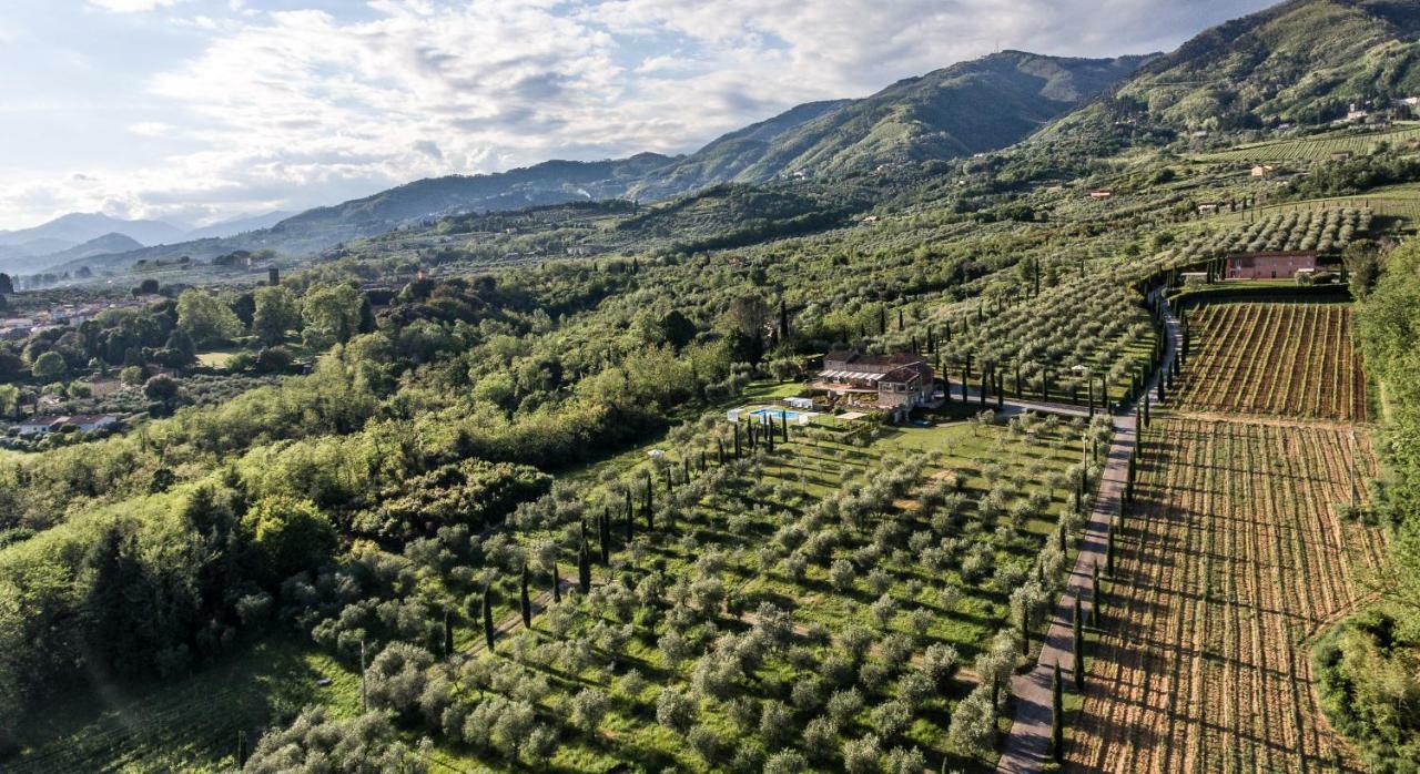 Accogliente Alloggio Con Vista E Piscina Lucca Exterior foto